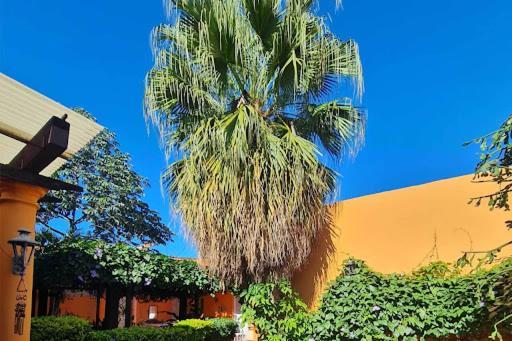 Hostal Paradiso Ασουνσιόν Εξωτερικό φωτογραφία